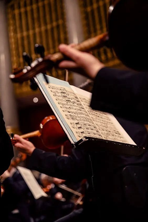 Violon et notes de musique